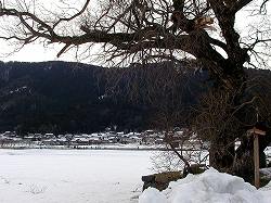 20060120kohoku (6).jpg
